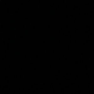 Meet your Posher, Sammy